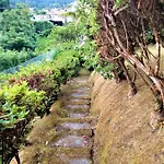 Tatil Evi On The Clouds Furnas (Azores)