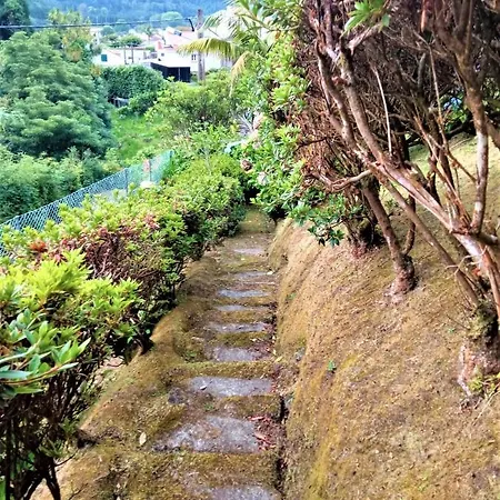 Feriehus On The Clouds Furnas (Azores)